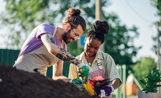 multiracial couple transplanting flowers while wor 2023 11 27 05 11 32 utc